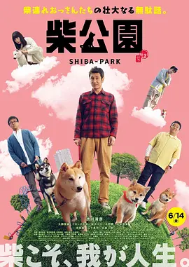 吉吉先锋影音av资源站