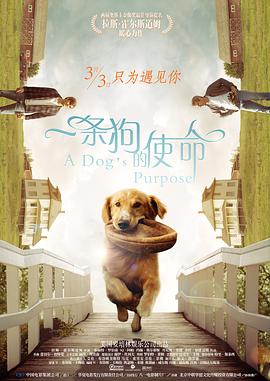 成人老司机深夜福利久久