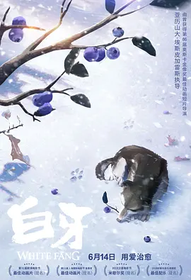 麻豆91地址