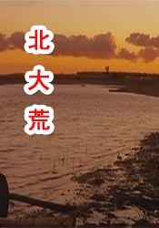 长款2020