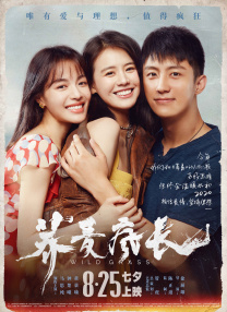 律师全系