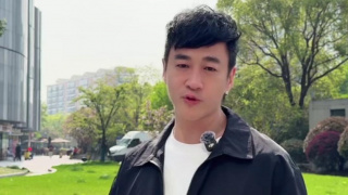 灰丝无内